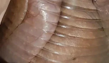 Daddy Extreme Pressure on the Caged, Wounded Cock.