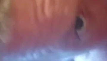 An Intense Orgasm From a Blowjob Cum in Mouth
