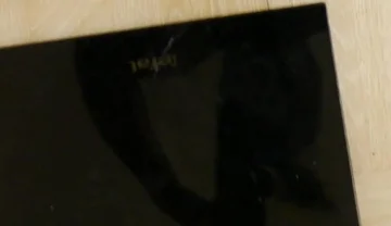 Weighing Your Black Fit Pony