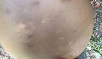 Fucking Him Bareback Outdoors with My BBC