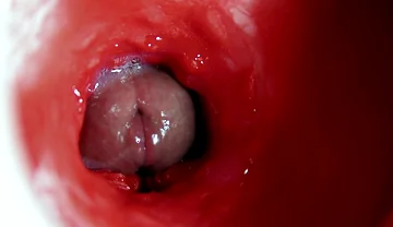 A Big Beautiful Cock Flows Abundantly Inside a Wet Slippery Hole and Smacks!