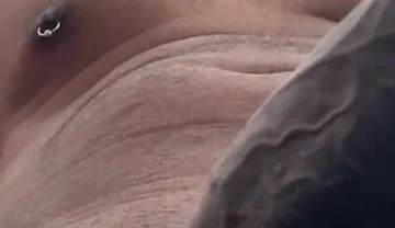 Cock Lovers. POV