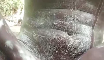 Soapy Masturbation Big Black Dick Cumming Outside Part 2