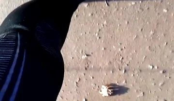 My New Barefoot Shoes