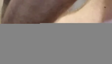 Bear Dildo Play - Fuck Me in the Shower