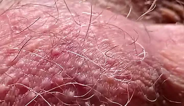 Checking That Everything Is in Order at the Construction Site.