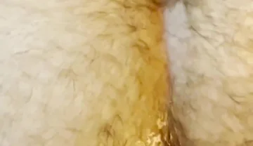 Ass up Face Down Raw Dirty Rough Cumdump Hairy Big Dick Hardcore Bareback Breeding