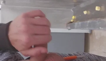 Got so Fucking Horny