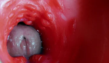 Super Quality Squelchy Wet Hole Asmr Camera Inside