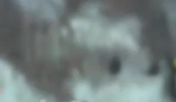 Gay Orgy at Rectumbcn