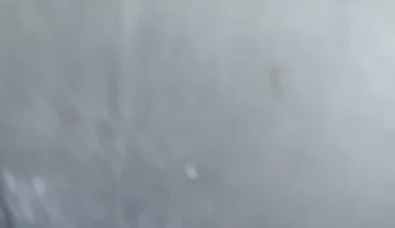 Having Sex with a Rich Latina, a Young 21-year-old Virgin with a Big White Ass.