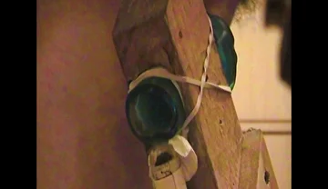 The Christmas Fleshlight Stand Fuck Masturbation