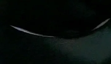 Masturbation Mature Man with Big Cock Part 1