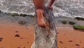 Ladysilva My Big Ass on the Beach