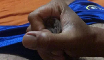 POV in My Room After Work, Releasing All the Tension