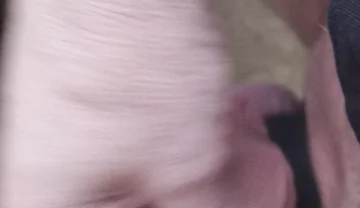 My Friend Sits in a Chair and Jerks His Cock While Watching the Video Until He Orgasms