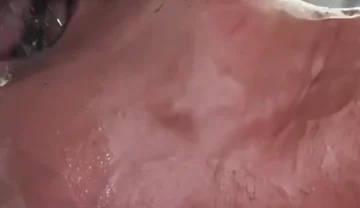 My Addiction to Pleasing My Master Until My Throat Is Filled with Semen
