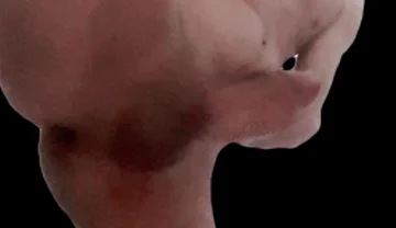 Masturbating Standing up