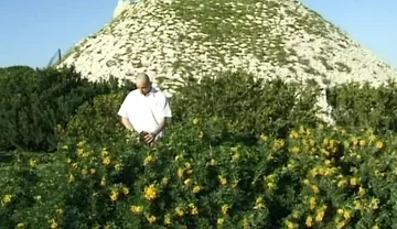 Twink Fucked Down by the Beach