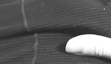 I Rub My Fat with Gray Sweatpants Until It Gets Wet Through