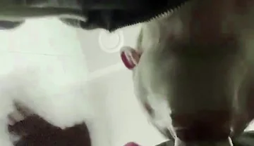 The Teacher's Thick Sucks in a Public Toilet. Slaps for a Student