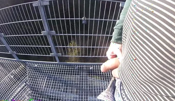 I'm Edit on My Foreskin Cock Outside on a Very Public Observation Tower by a River.