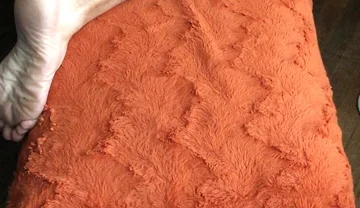 Ohtrevor Hot Hairy Stepdad Wakes up to Bolero