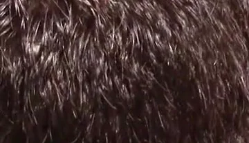 French bottom fucked bareback in the swimming pool by 2 rented boys