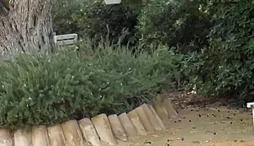 Agf: I Have Fun with My Friend in the Park in Full View of Everyone! Pee Included.