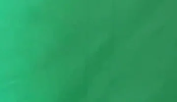 Two Yellow Thongs Try on (the Free Cut)