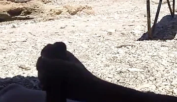 Masturbation on The Beach