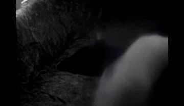 Hump Masturbation Black and White with the First Real Webcam in 1996