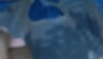 Indian Boy Bathroom Masterbate with Wife Fuck