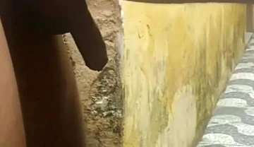 My Neighbor Loves to Play with Me in the Backyard