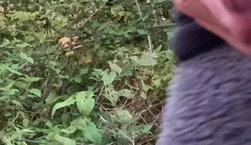 Moaning Squirting Cumshot Wanking in the Woods Wearing Onesie