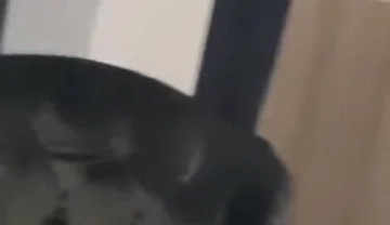 Blessed fucked raw by Casio