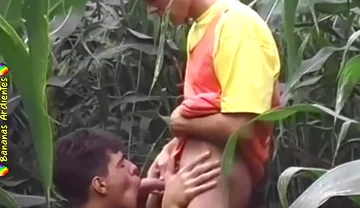 Frisky Sumer 1 - Parte 3