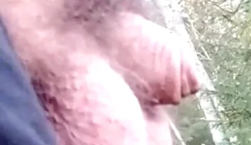 484118313627033600.mp4