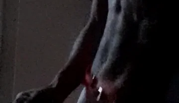 Xmas Masturbation