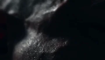 The Monster Alien Dildo Mandy Is Destroying My Hole on a Dryerotica Production