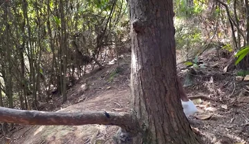 A Curious Heterosexual Boy Saw Me Masturbate in the Forest and We Ended up Fucking
