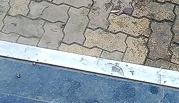 Desi Gay Boy Sucking Wife and Pussy