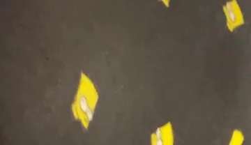 Eat My Shorts