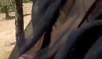 I Got Erect Wearing Sheer Boxers in Road