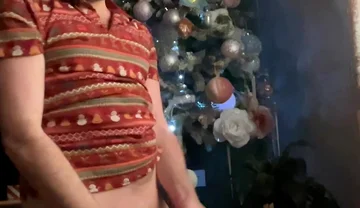 Christmas Time, Mistletoe and Cock