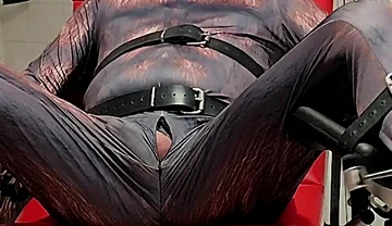 Playing Puppies the First Examination