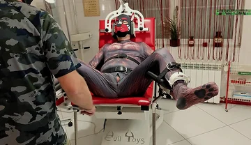 Playing Puppies the First Examination