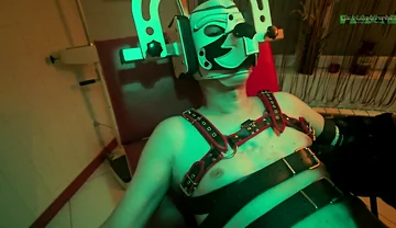 Playing Puppies the Second Examination