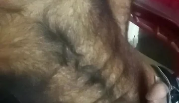 Hairy Gay