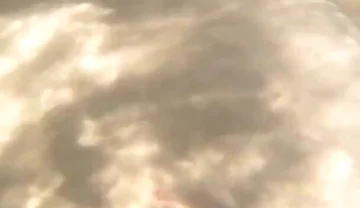 I Cum Just for the Pleasure of Feeling Free, Naked on a Public Beach